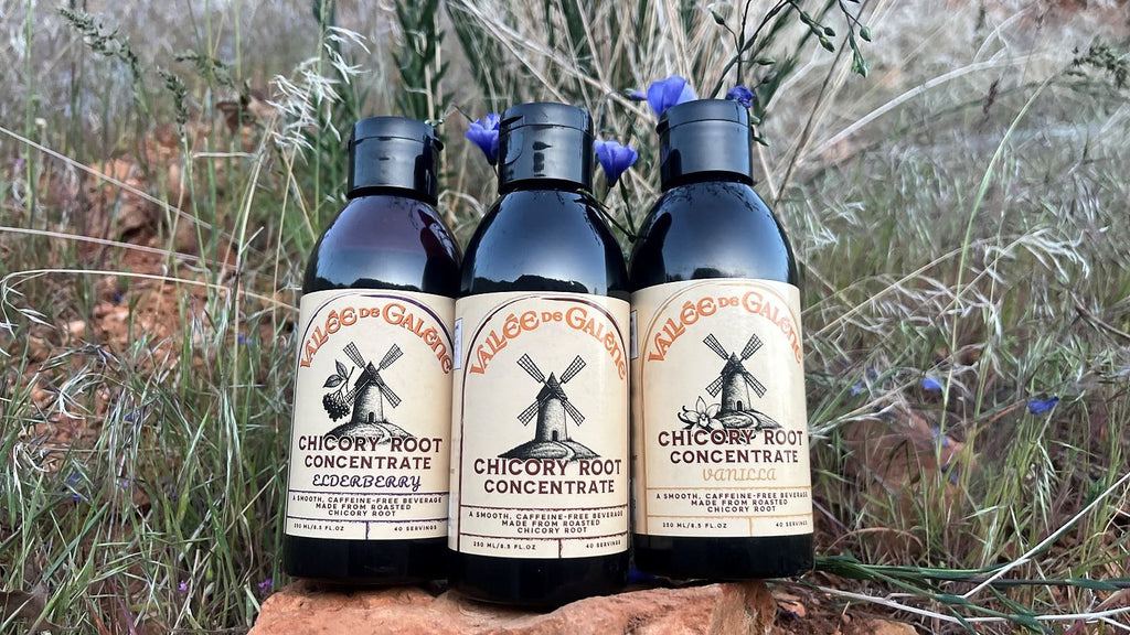 Chicory Coffee Benefits: What the Research Actually Says