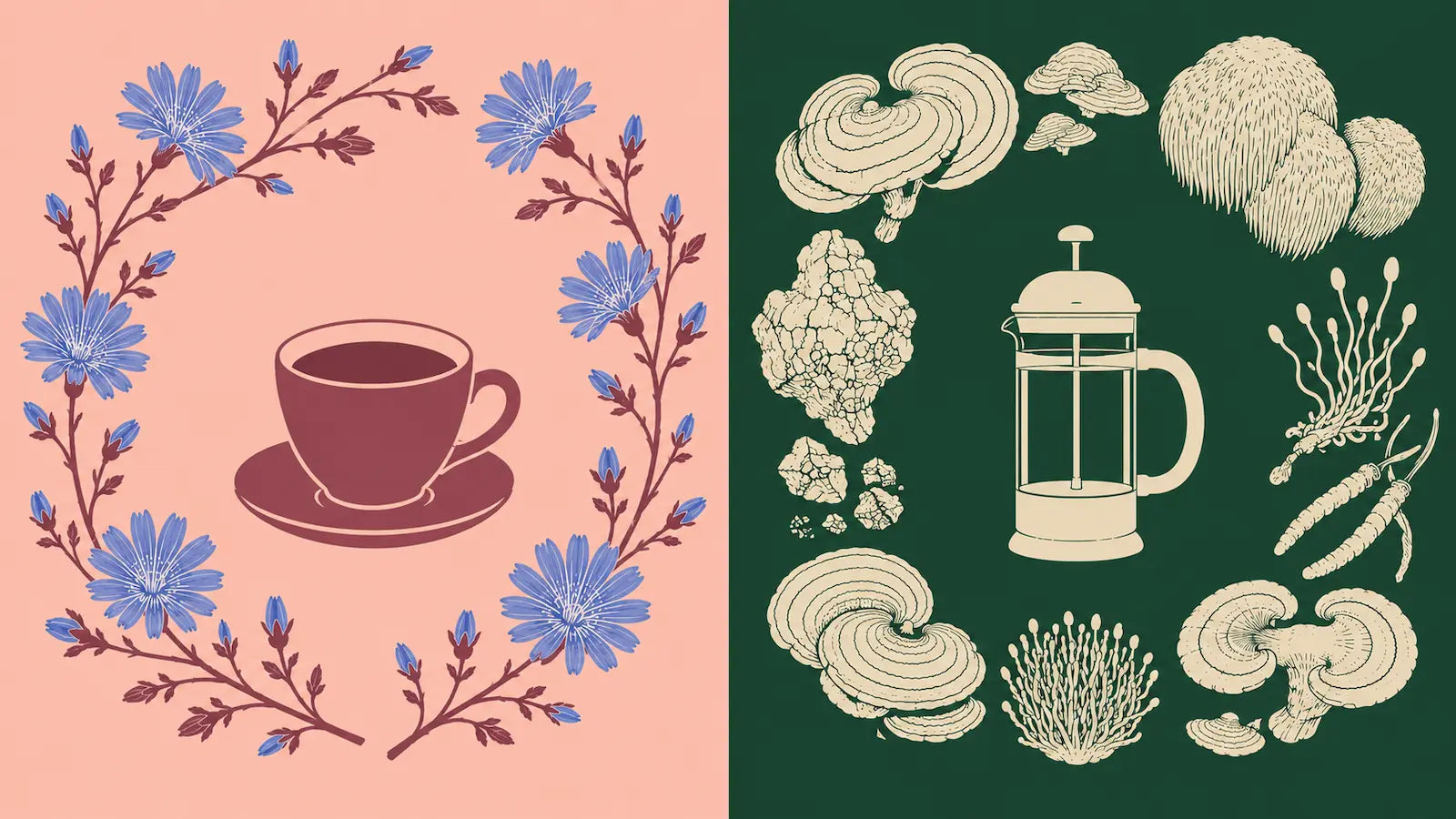 Chicory Coffee vs Mushroom Coffee: Which Coffee Alternative Is Better?