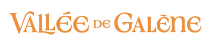 Logo of Vallée de Galène in orange text on a white background